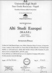 Диплом / сертификат №2 — Русин Виктор Александрович