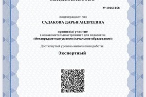 Диплом / сертификат №8 — Садакова Дарья Андреевна