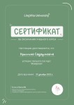 Диплом / сертификат №9 — Садаускайте Кристина Павловна