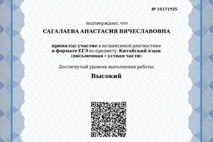 Диплом / сертификат №14 — Сагалаева Анастасия Вячеславовна