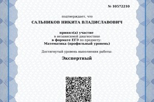 Диплом / сертификат №10 — Сальников Никита Владиславович