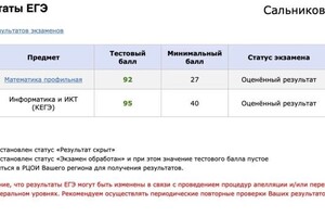 Диплом / сертификат №14 — Сальников Никита Владиславович