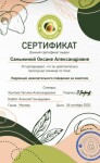 Диплом / сертификат №30 — Самыкина Оксана Александровна