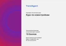 Диплом / сертификат №2 — Сартакова Анна Константиновна