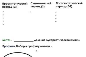 Скрипт — Савкин Даниил Русланович