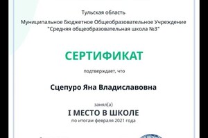 Диплом / сертификат №4 — Сцепуро Яна Владиславовна