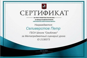 Диплом / сертификат №2 — Селиверстов Петр Сергеевич