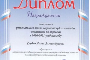 Диплом / сертификат №2 — Сердюк Ольга Александровна