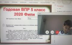 Подготовка к тестам, ВПР и КДР, ОГЭ и ЕГЭ с 1-11 класс — Сергиенко Нелли Васильевна