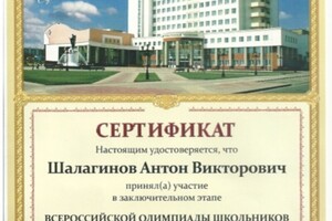 Сертификат участника заключительного этапа Всероссийской олимпиады школьников по химии 2016 — Шалагинов Антон Викторович