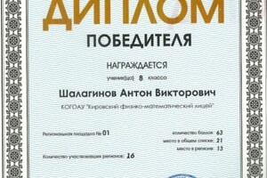 Диплом победителя межрегионального турнира по химии \