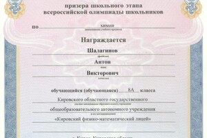 Диплом призера школьного этапа Всероссийской олимпиады школьников по химии 2012 — Шалагинов Антон Викторович