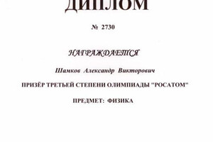 Диплом призера олимпиады школьников — Шамков Александр Викторович