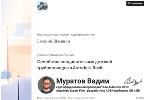 Диплом / сертификат №11 — Шамшин Евгений Игоревич