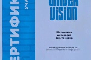 Диплом / сертификат №3 — Шапочкина Анастасия Дмитриевна