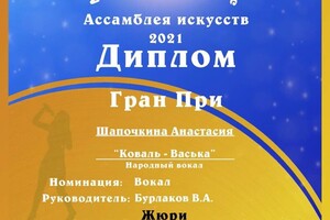 Диплом / сертификат №6 — Шапочкина Анастасия Дмитриевна