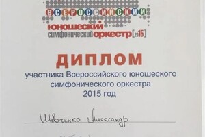 Диплом / сертификат №11 — Шевченко Александр Сергеевич