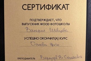 Диплом / сертификат №4 — Шевцова Валерия Дмитриевна