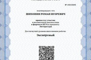 Диплом / сертификат №11 — Шихонин Роман Игоревич