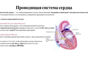 Портфолио №14 — Шин Валерия Владимировна