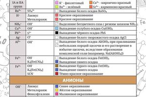 Портфолио №14 — Шинина Юлия Васильевна