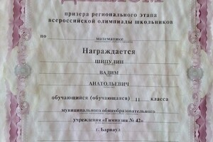 Диплом призера регионального этапа ВСОШ по матиматике, 2011г. — Шипулин Вадим Анатольевич