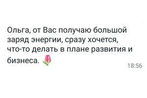 Отзывы о лекциях по деловому этикету — Шишкина Ольга Викторовна