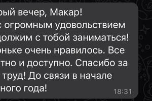 Отзыв ученика, Информатика 7 класс — Шитов Макар Александрович