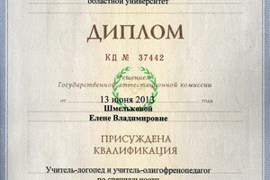 Диплом Московского государственного областного университета (2013 г.) — Дорофеева Елена Владимировна