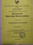 Диплом / сертификат №14 — Шолохова Кристина Всеволодовна