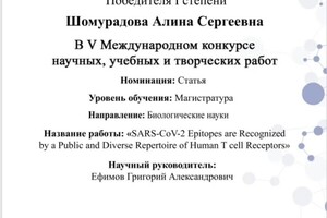 Диплом / сертификат №7 — Шомурадова Алина Сергеевна