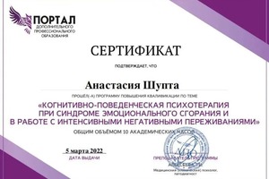 Диплом / сертификат №10 — Шупта Анастасия Александровна