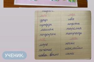 Чистописание + программа второго класса.; Полина - 9 лет. — Сичинава Лалита Георгиевна