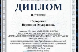 Диплом / сертификат №2 — Сидоренко Вероника Эдуардовна