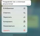 Отзыв родителя о работе с ребенком-девятиклассником — Силантьева Анфиса Викторовна