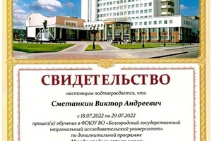 Диплом / сертификат №1 — Сметанкин Виктор Андреевич