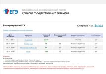 Баллы ЕГЭ — Смирнов Илья Александрович