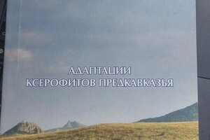 Диплом / сертификат №3 — Снисаренко Татьяна Александровна