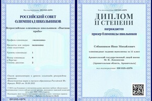 Диплом / сертификат №3 — Собашников Иван Михайлович