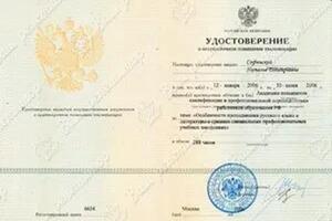 2006 г. — Софинская Наталья Дмитриевна