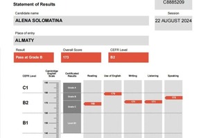 Диплом / сертификат №1 — Соломатина Алёна Андреевна