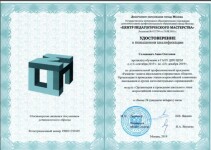 Диплом / сертификат №11 — Солонович Анна Олеговна