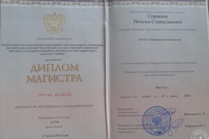 Диплом магистра — Сорокина Наталья Станиславовна