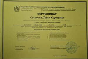 Диплом / сертификат №13 — Соседова Дарья Сергеевна