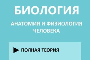 Авторское пособие по анатомии и физиологии человека для ЕГЭ по биологии — Советников Егор Николаевич