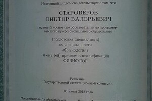 Диплом / сертификат №1 — Староверов Виктор Валерьевич