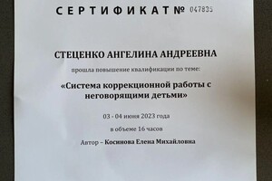 Диплом / сертификат №5 — Стеценко Ангелина Андреевна