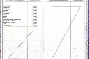 Оценки по окончанию 11 класса (2020 г.) — Степанова Елизавета Николаевна