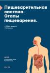 наглядные конспекты для моих учеников — Степочкина Анна Михайловна