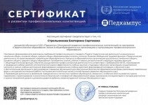 Диплом / сертификат №5 — Стрельникова Екатерина Сергеевна